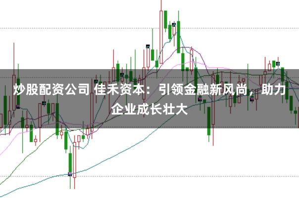 炒股配资公司 佳禾资本：引领金融新风尚，助力企业成长壮大