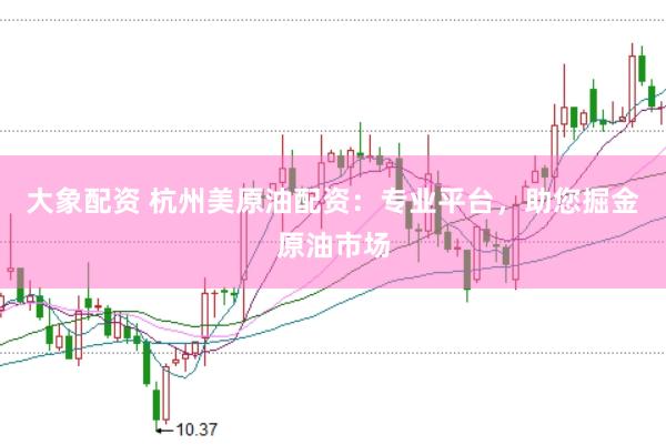 大象配资 杭州美原油配资：专业平台，助您掘金原油市场