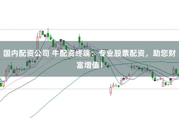 国内配资公司 牛配资终端：专业股票配资，助您财富增值！