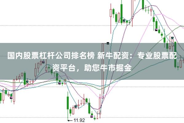 国内股票杠杆公司排名榜 新牛配资:专业股票配资平台,助您牛市掘金
