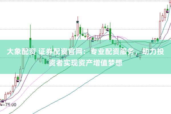 大象配资 证券配资官网：专业配资服务，助力投资者实现资产增值梦想