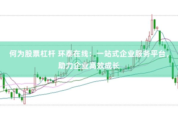 何为股票杠杆 环泰在线：一站式企业服务平台，助力企业高效成长