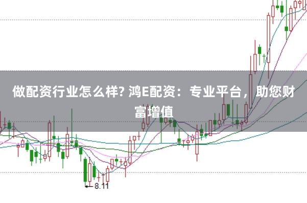做配资行业怎么样? 鸿E配资：专业平台，助您财富增值
