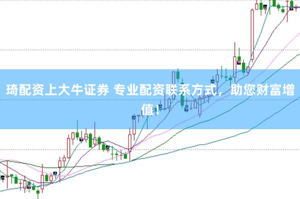 琦配资上大牛证券 专业配资联系方式，助您财富增值！