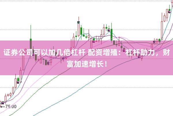 证券公司可以加几倍杠杆 配资增殖:杠杆助力,财富加速增长!