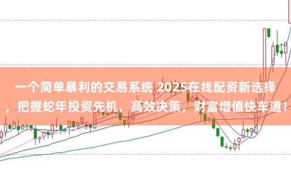 一个简单暴利的交易系统 2025在线配资新选择，把握蛇年投资先机，高效决策，财富增值快车道！