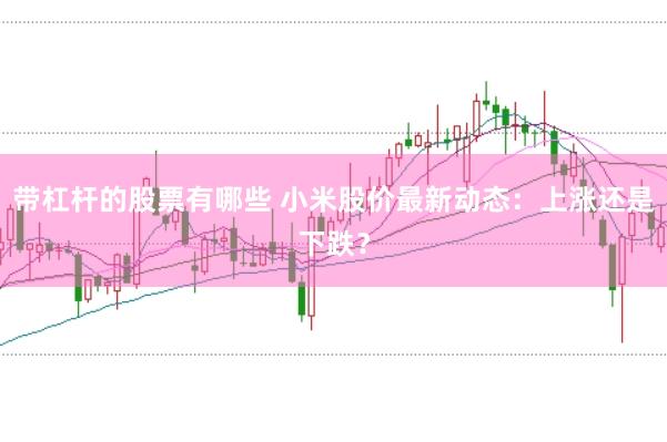 带杠杆的股票有哪些 小米股价最新动态：上涨还是下跌？