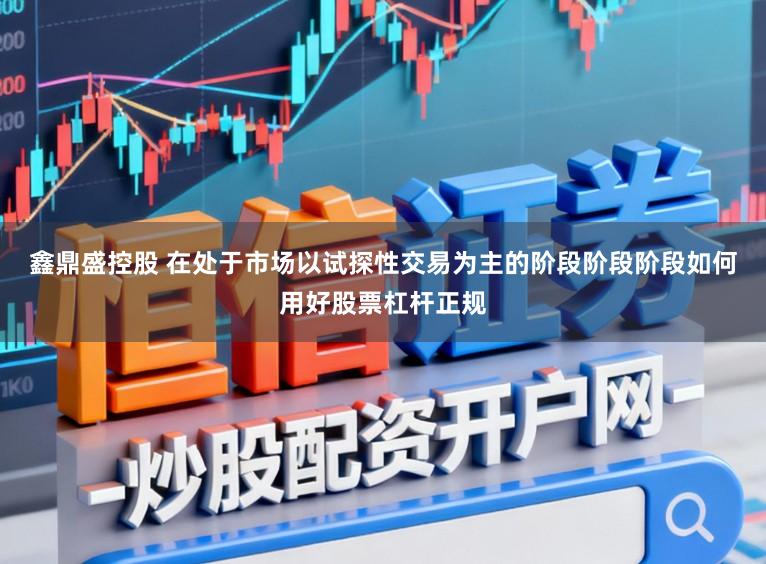 鑫鼎盛控股　 在处于市场以试探性交易为主的阶段阶段阶段如何用好股票杠杆正规