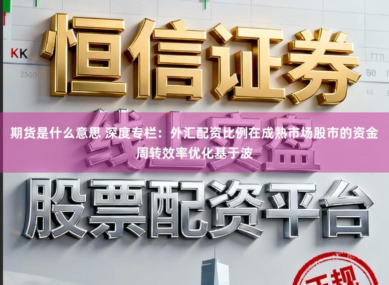 期货是什么意思 深度专栏：外汇配资比例在成熟市场股市的资金周转效率优化基于波