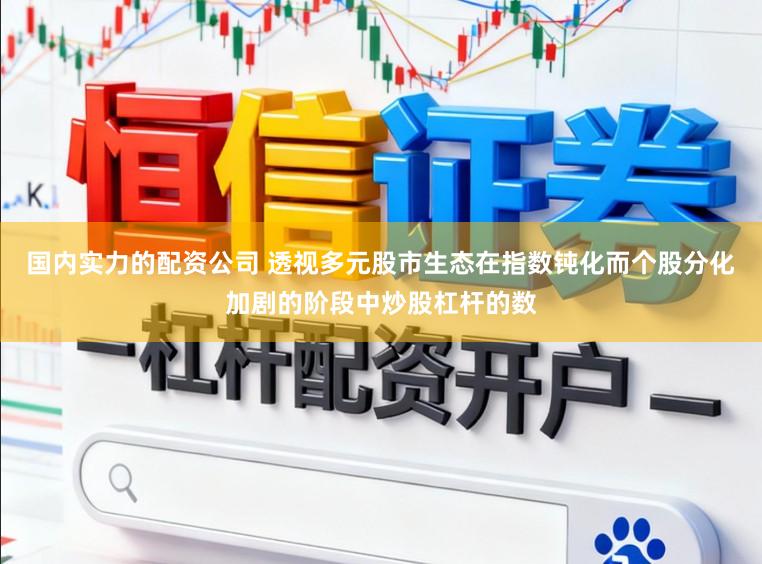 国内实力的配资公司 透视多元股市生态在指数钝化而个股分化加剧的阶段中炒股杠杆的数